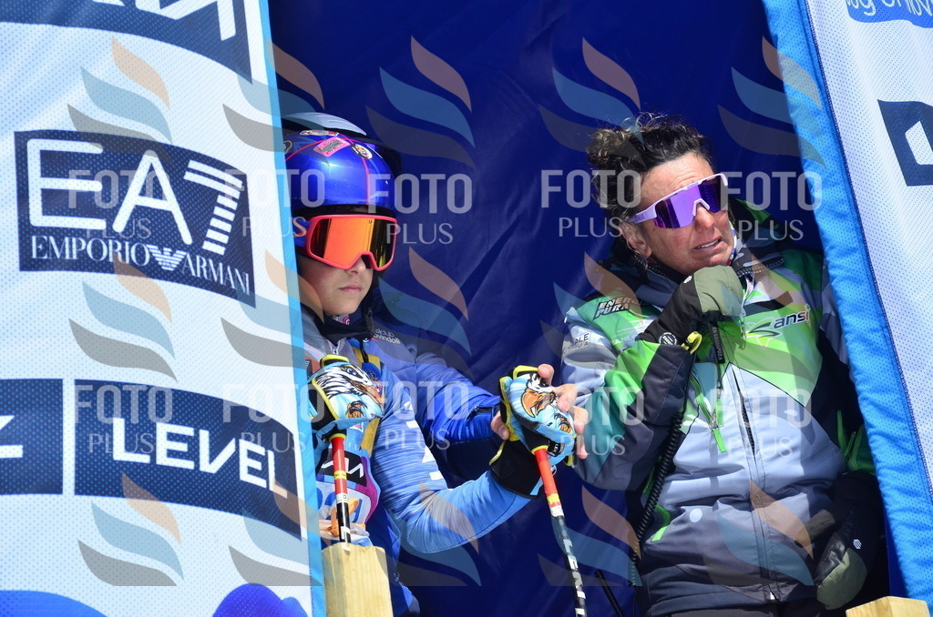 _ELE1549 | holidayphoto