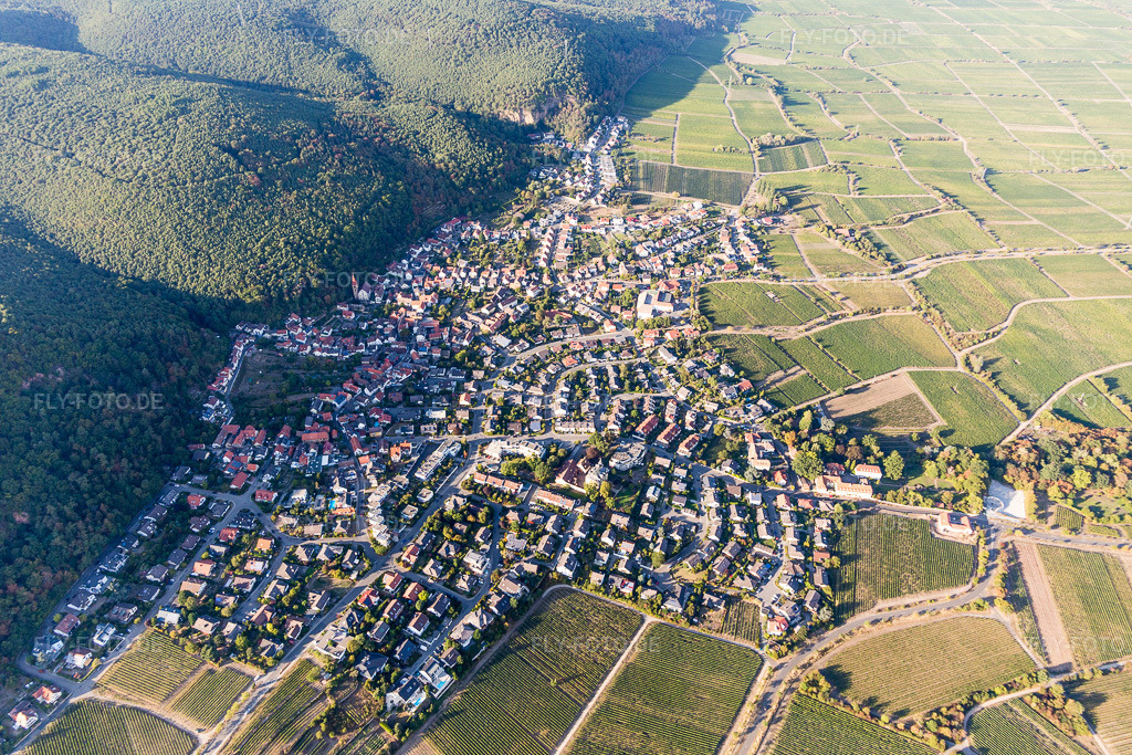 Luftbild: Weinbergen am Haardtrand des Pfälzerwaldes von Ortsteil Königsbach an der Weinstraße im Ortsteil Königsbach in Neustadt im Bundesland Rheinland-Pfalz in Deutschland. Foto: IMG_111806.jpg vom 16.09.2018 durch Werner Riehm/FLY-FOTO.de