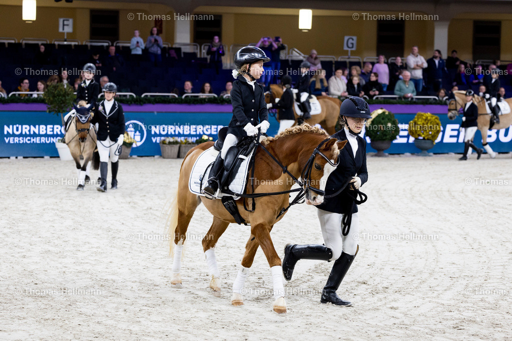 TH_Nürnberger Burgpokal Führzügelwettbewerb_13220 | Nürnberger Burgpokal Führzügelwettbewerb beim Festhallen Reitturnier Frankfurt 2023 am 15.12.23 in Frankfurt, Festhalle