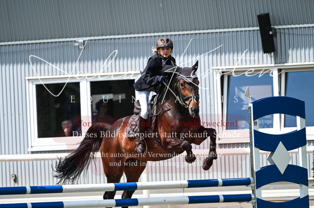 DSC_9262 | Pferde- und Turnierfotografie in Westsachsen. Pferdeportraits, Auftragszeichnungen und intuitive Kunst.