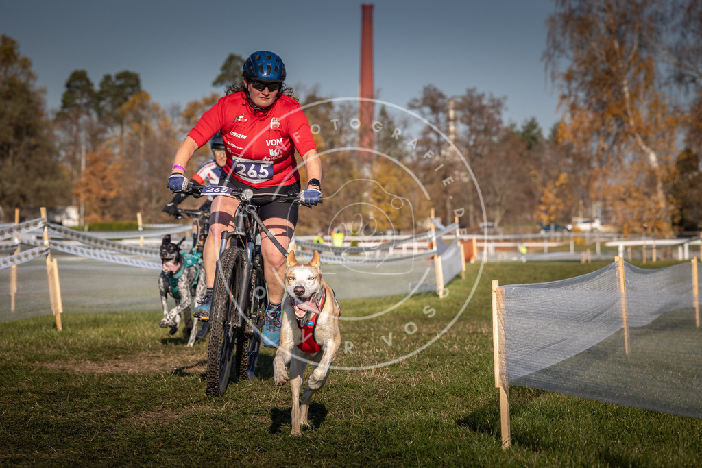 CaniXpix_0L8A5073 | Hundefotografie, Tierfotograf, Pfotenfotografie, Fotoshooting Hund, Hunde Portrait, Hundesport, Hundeportraits, Heideshooting, Hunde, Sportfotograf, Hundefotograf, Turnierhundsport, THS,  - Realisiert mit Pictrs.com