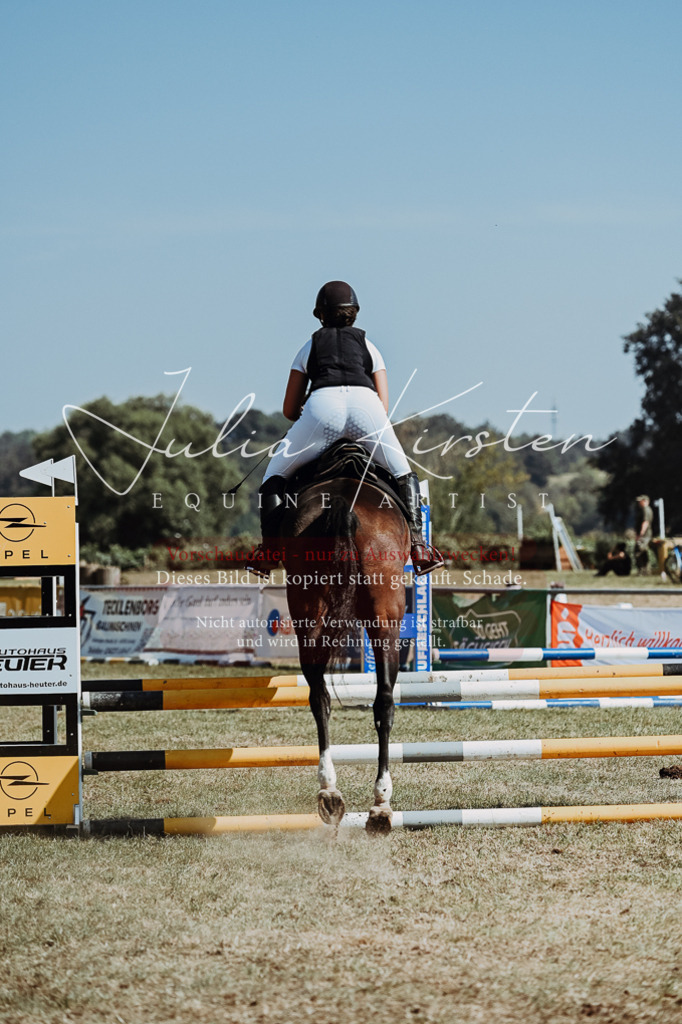 DSC_9862 | Pferde- und Turnierfotografie in Westsachsen. Pferdeportraits, Auftragszeichnungen und intuitive Kunst.