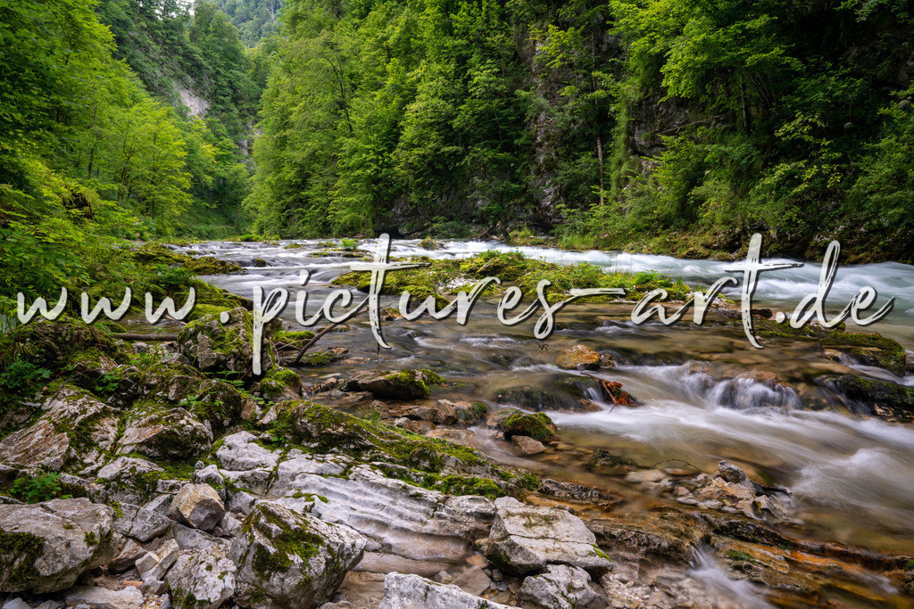 DSC09800 | pictures-art.de