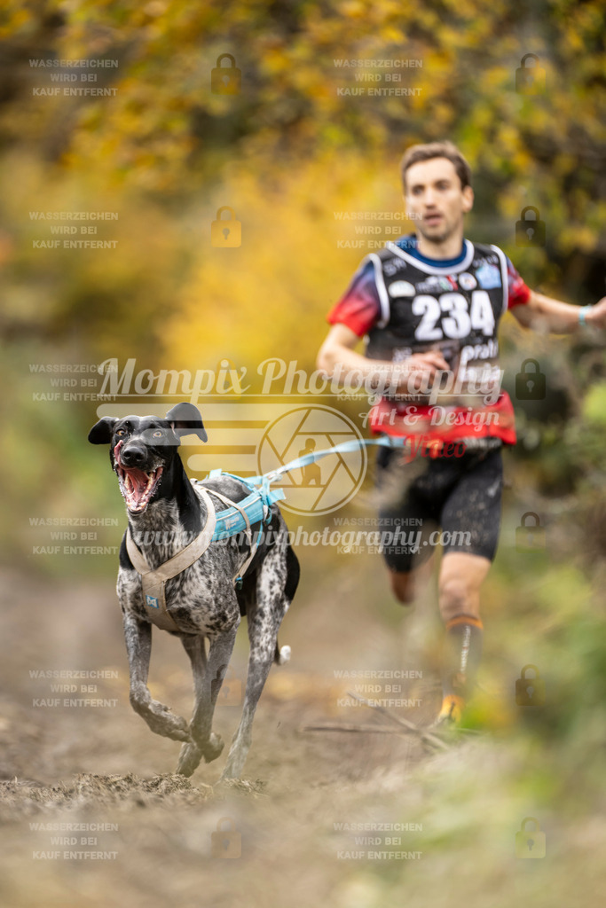 MompixPhotography_ICF_WC_2024_SA_Run_-7 | PayLife