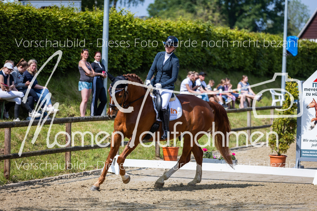 Donop24-L-Dre-023 | MomenTaufnahmen Pferdesportfotos