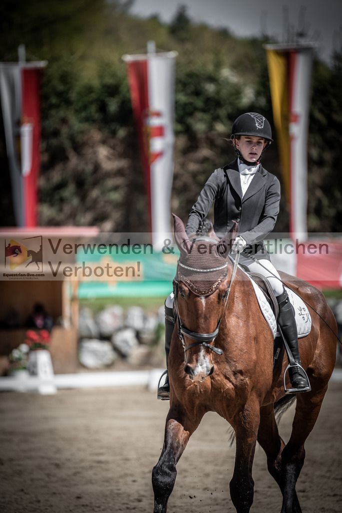DSC_9963 | equestrian-live-com