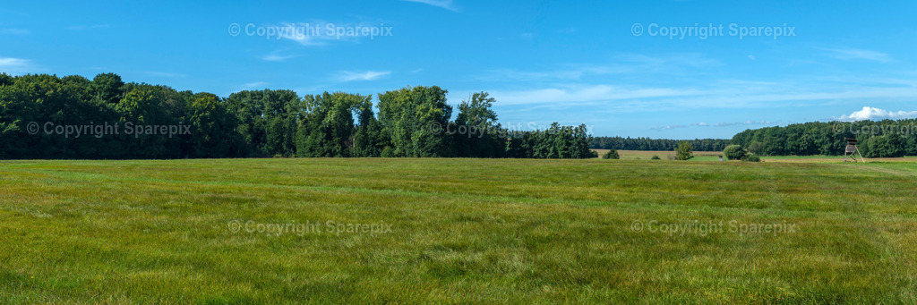 PAN_Outlook_Summer_Meadow4 | sparepix - Realisiert mit Pictrs.com