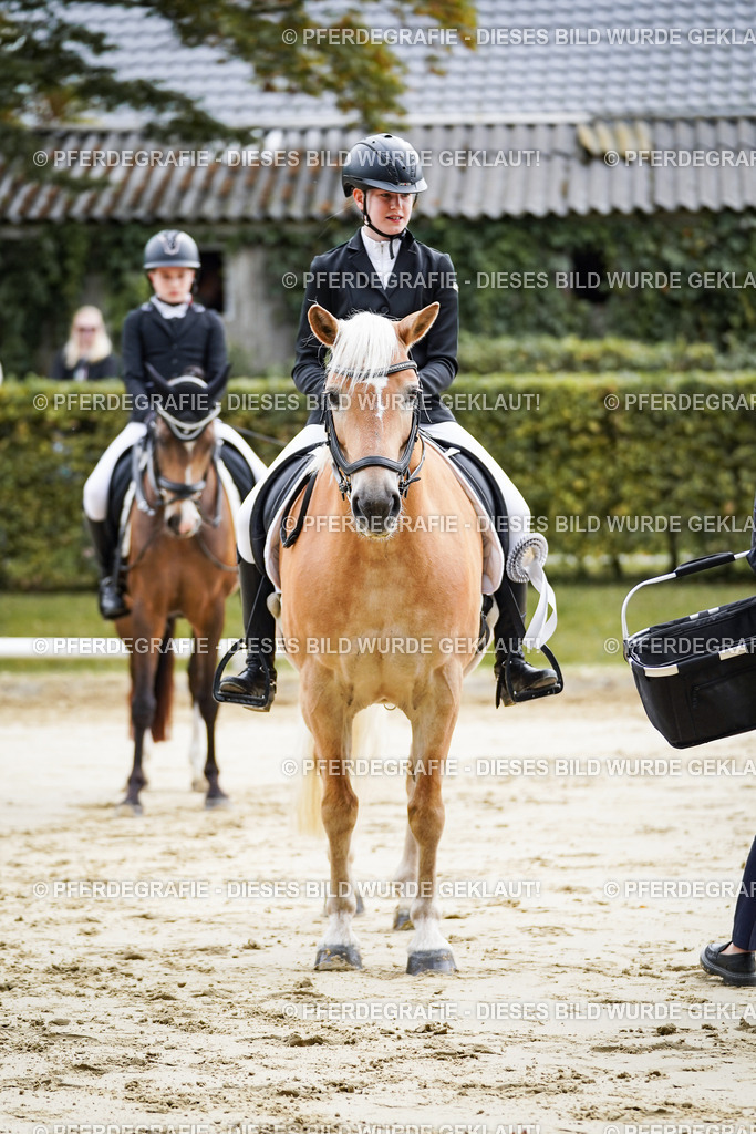 DSC04965 | Pferdegrafie