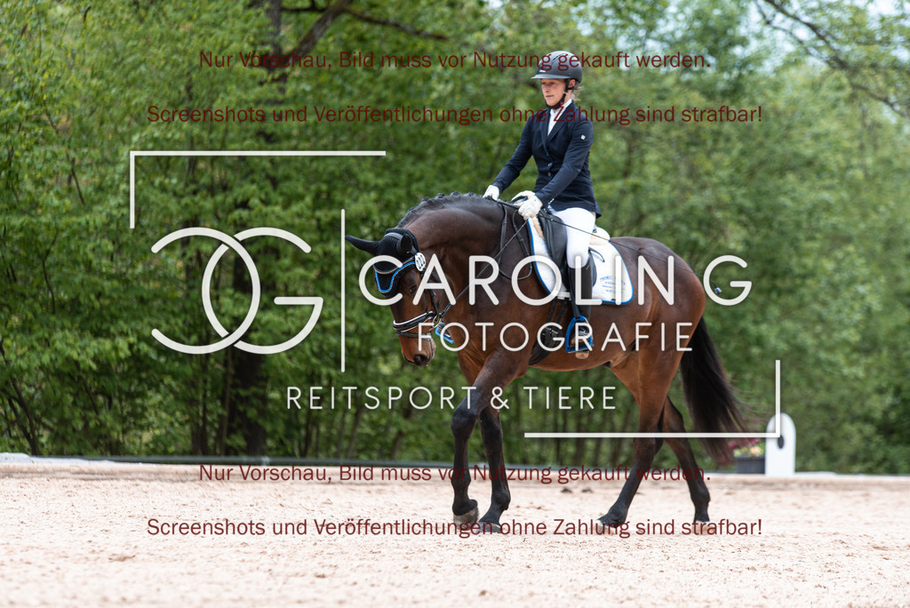 DSC_6831 | Turnierfotografin Carolin Gieschke,Reitsport Turnierfotografie Carolin G Fotografie | Turnierfotos aus Kirchheim/Teck, Esslingen, Stuttgart und dem Bodenseekreis