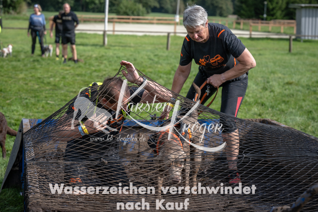 _ZZ91305 | kk-dogfotos