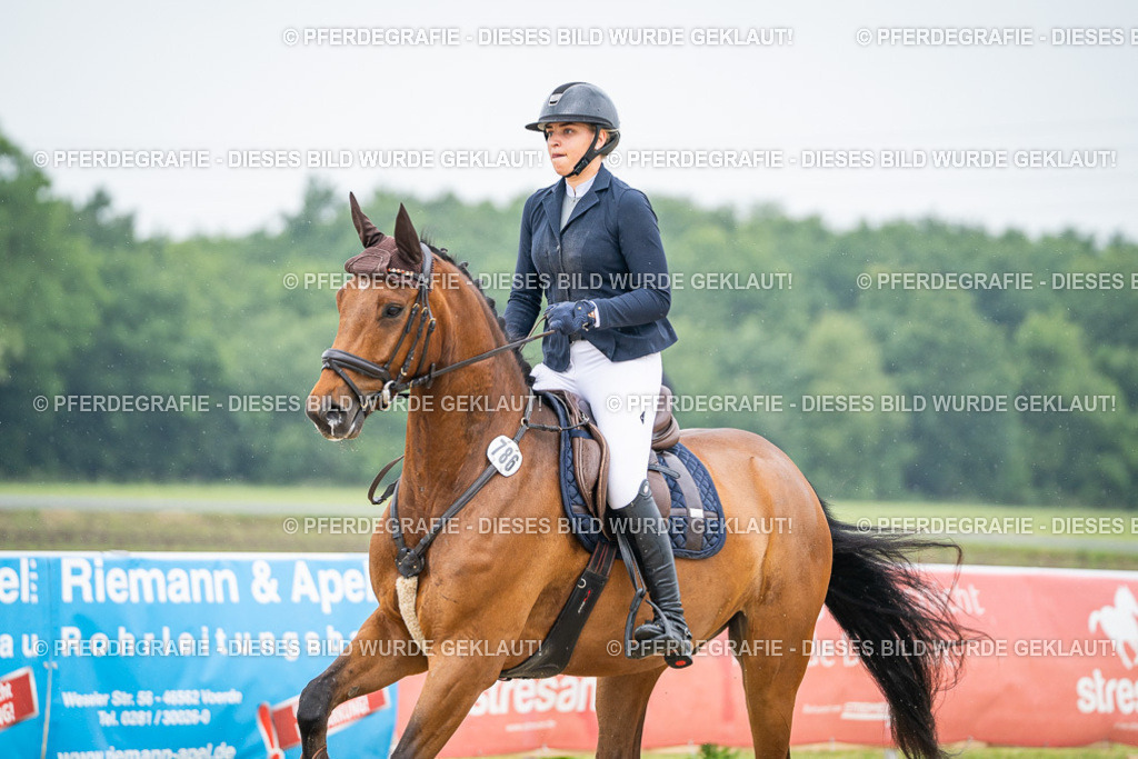 DSC00867 | Pferdegrafie