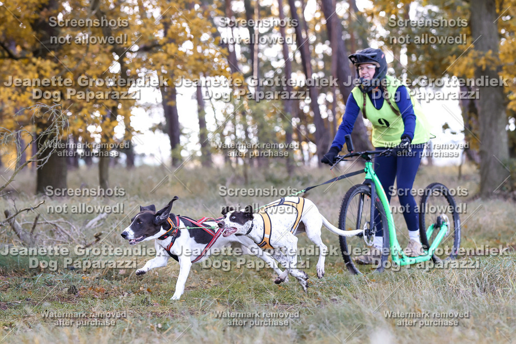 Dog Paparazzi - Elsholz 25 -61 | Dog Paparazzi Jeanette Grottendiek Fotografie & Videografie - Realisiert mit Pictrs.com