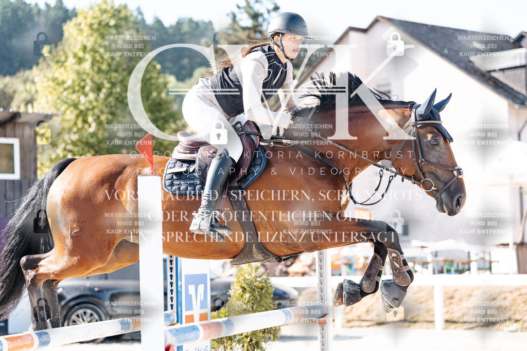 CK904551 | Turnierfotografie Pferdefotografie Trier Rheinland-Pfalz Pferdesport Reitsport Tierfotografie Sportfotografie Pferdevideo Pferdevideografie Equestrianvideography equestrianphotography  - Realisiert mit Pictrs.com