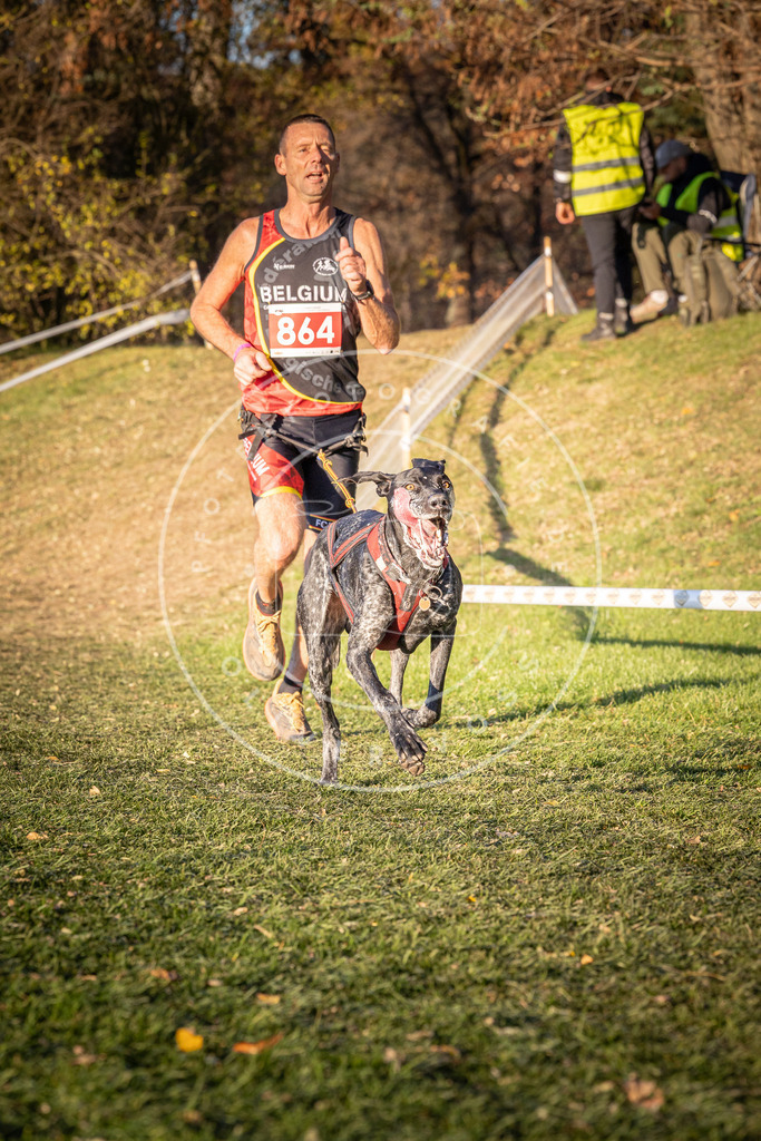 CaniXpix_0L8A0977 | Hundefotografie, Tierfotograf, Pfotenfotografie, Fotoshooting Hund, Hunde Portrait, Hundesport, Hundeportraits, Heideshooting, Hunde, Sportfotograf, Hundefotograf, Turnierhundsport, THS,  - Realisiert mit Pictrs.com