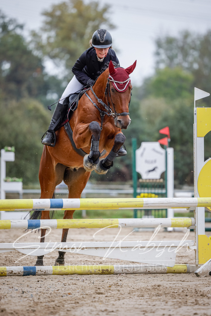 20251012-_3LI3424 | Tierfotografie Pferde, Hunde, Katzen, Haustiere.
Turnierfotografie Reitturniere, Reiten, Springreiten, Dressur in Hanau, dem Main-Kinzig-Kreis und dem Rhein-Main- Gebiet um Frankfurt