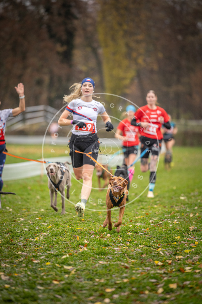 CaniXpix_DV3A9341 | Hundefotografie, Tierfotograf, Pfotenfotografie, Fotoshooting Hund, Hunde Portrait, Hundesport, Hundeportraits, Heideshooting, Hunde, Sportfotograf, Hundefotograf, Turnierhundsport, THS,  - Realisiert mit Pictrs.com