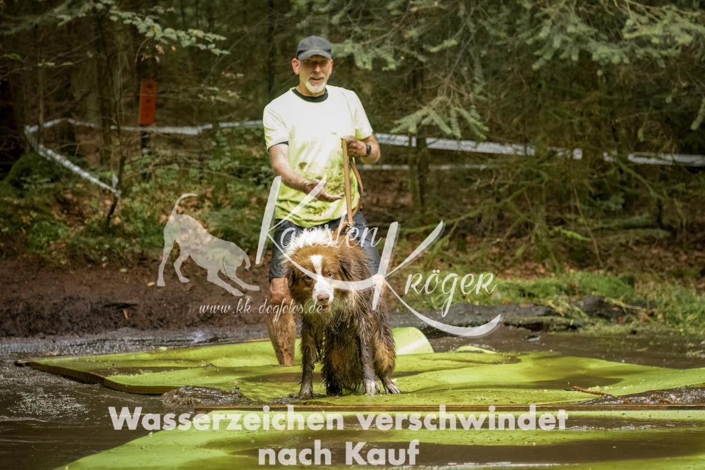 1230_ZZ90003-Bearbeitet | kk-dogfotos