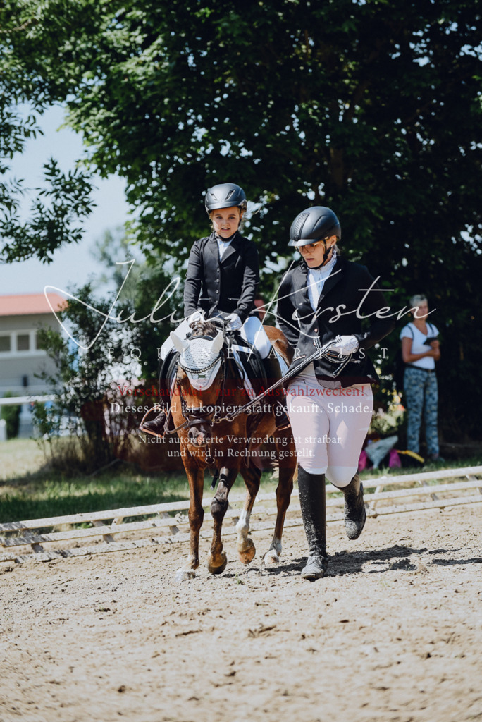 DSC_2545 | Pferde- und Turnierfotografie in Westsachsen. Pferdeportraits, Auftragszeichnungen und intuitive Kunst.
