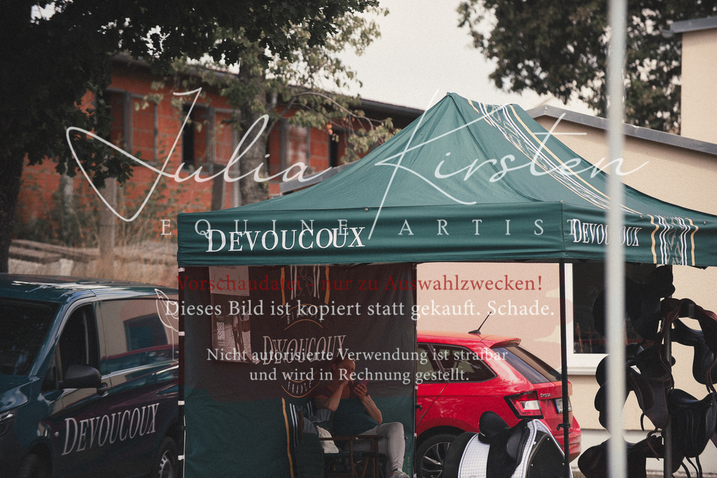 DSC_4265 | Pferde- und Turnierfotografie in Westsachsen. Pferdeportraits, Auftragszeichnungen und intuitive Kunst.