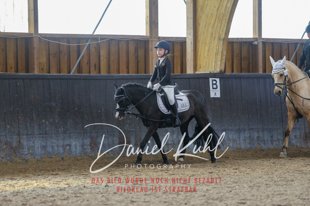 IMG_1185 | Turniersportfotografie; Pferdefotografie; Dressurfotografie