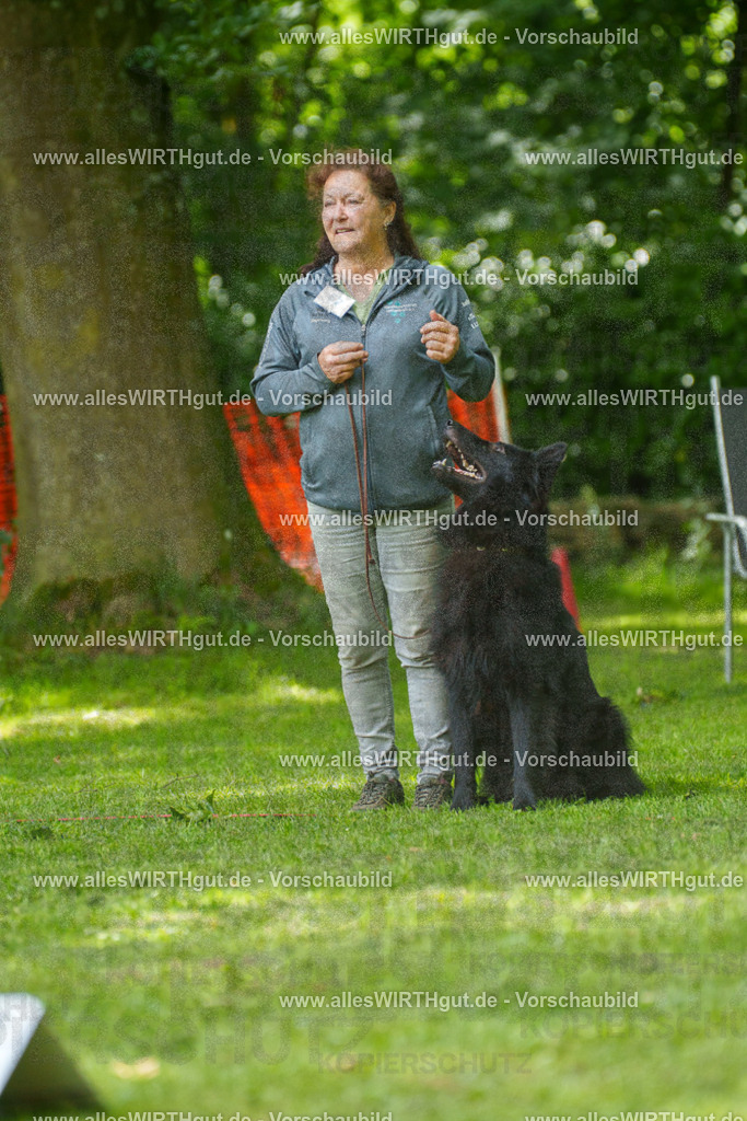 @allesWIRTHgut_Tierfotografie - www.allesWIRTHgut.de - 7R505647 | Professionelle Tierfotografie in Mönchengladbach von Daniel Wirth (allesWIRTHgut). Liebevolle & natürliche Bilder von Hunden & Katzen für unvergessliche Erinnerungen.