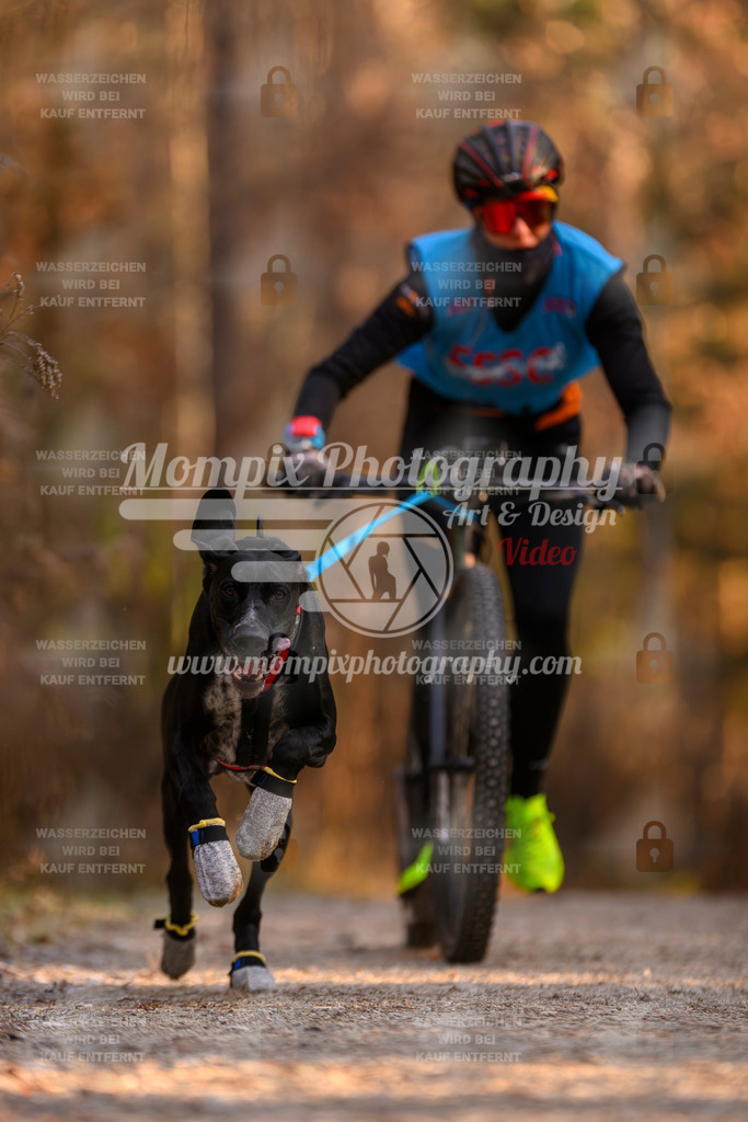 MompixPhotography_DM_AKDM_SO_2025_Scooter-84 | PayLife