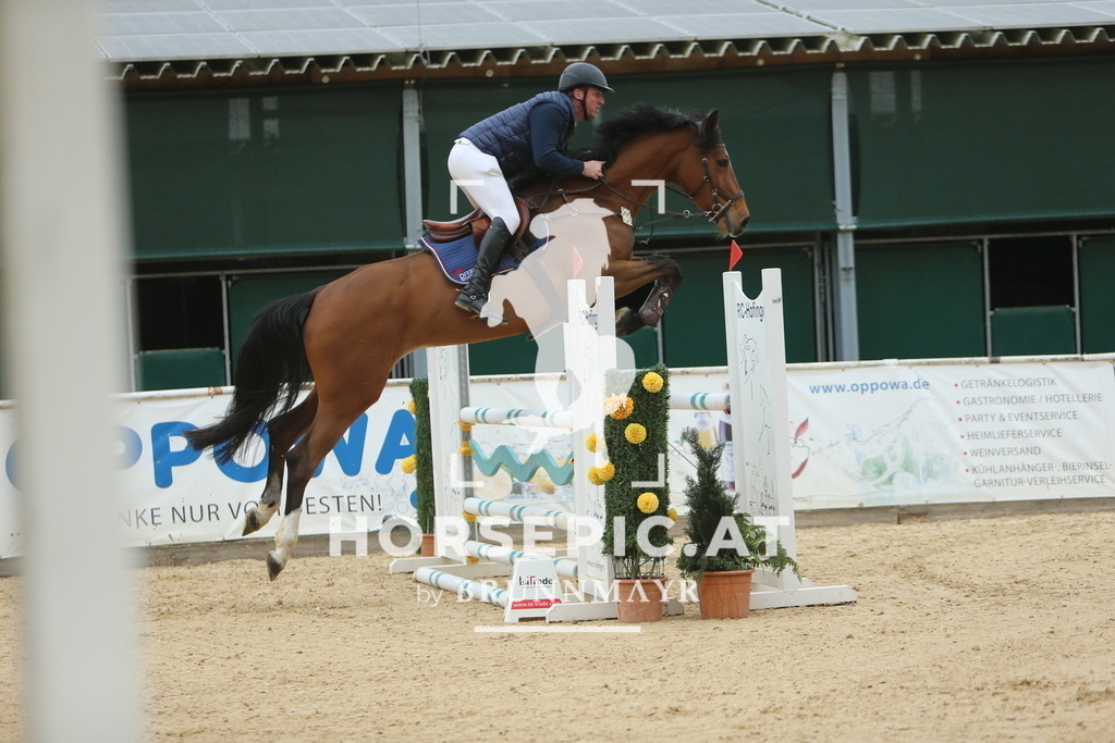 DL2Q6789 | Willkommen bei Brunnmayr - Design & Fotografie – Ihrem Spezialisten für Reitturniere und Pferdeveranstaltungen in Oberösterreich, Salzburg und Bayern! Seit über 17 Jahren sind wir leidenschaftlich dabei.
