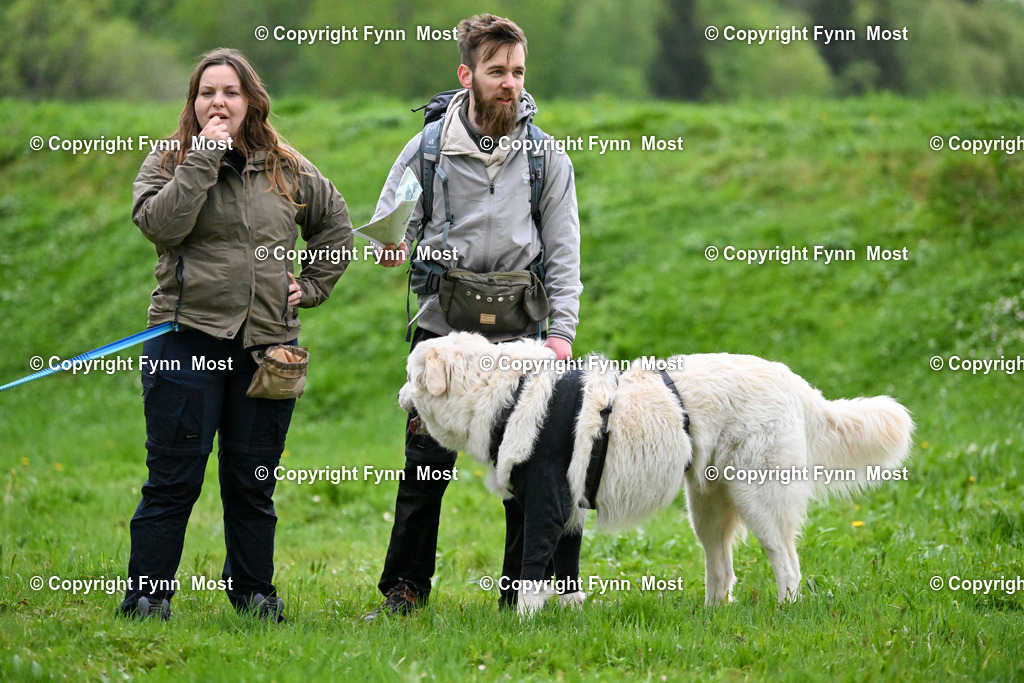 DSC_6666 | Hallo und herzlich Willkommen auf meiner Shop-Seite Fynn Most.

Ich wünsche Dir viel Spaß beim stöbern durch die Bilder, wenn Du Fragen hast oder Bilder vermisst, kannst du mir gerne eine Nachricht schreiben. - Realisiert mit Pictrs.com