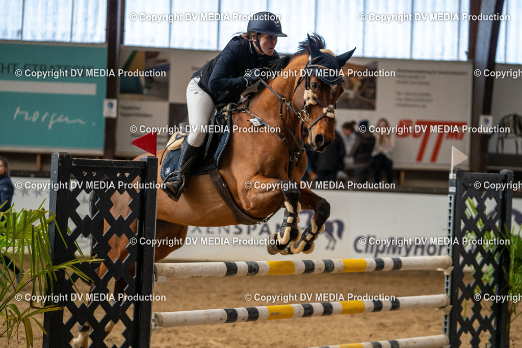 Kranichstein Tag 2-577 | dv-media-shop - Realisiert mit Pictrs.com