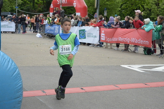 11-04-50_ | Meisterchip Fotoshop - Realisiert mit Pictrs.com