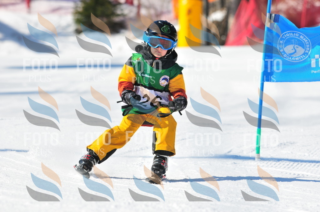 C2589 | holidayphoto