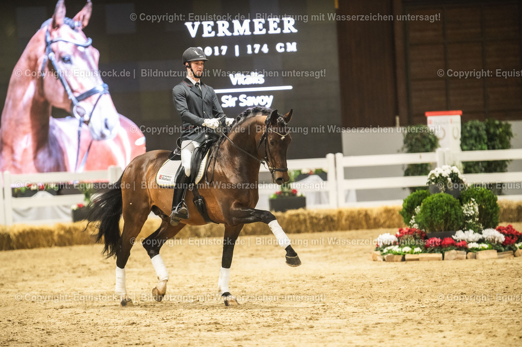 20240302_Hengstvorstellung_Marbach_TOMsPiC_1208 | equistock