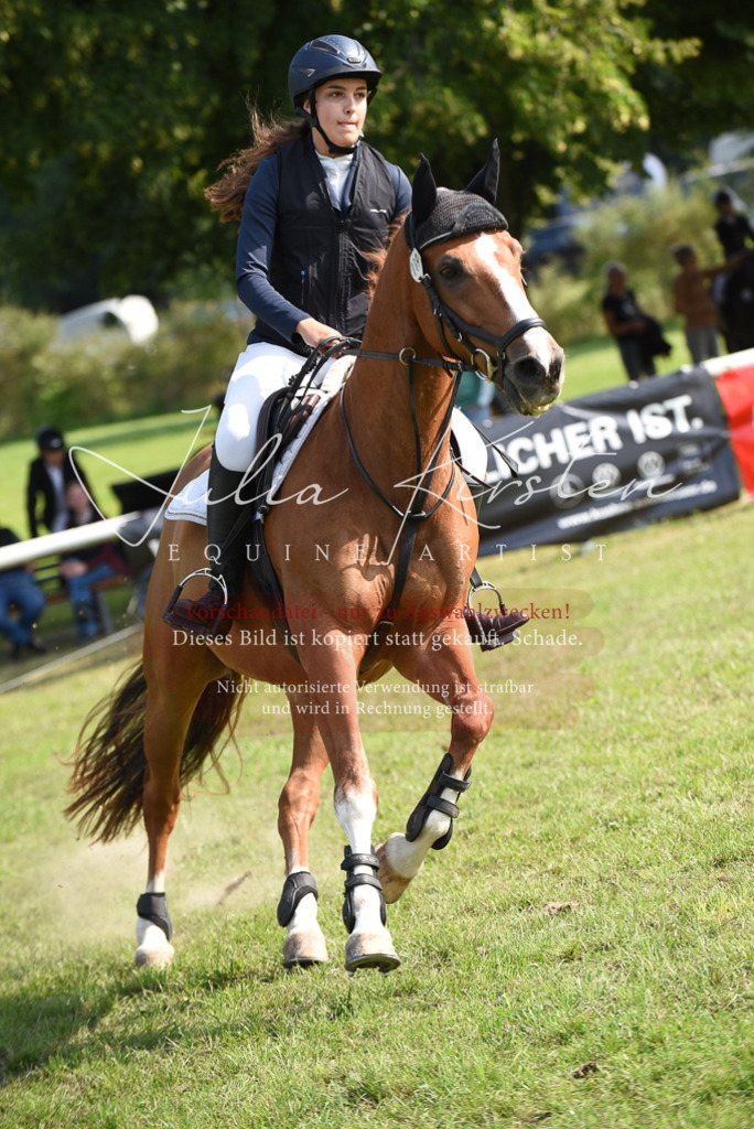 DSC_8917 | Pferde- und Turnierfotografie in Westsachsen. Pferdeportraits, Auftragszeichnungen und intuitive Kunst.