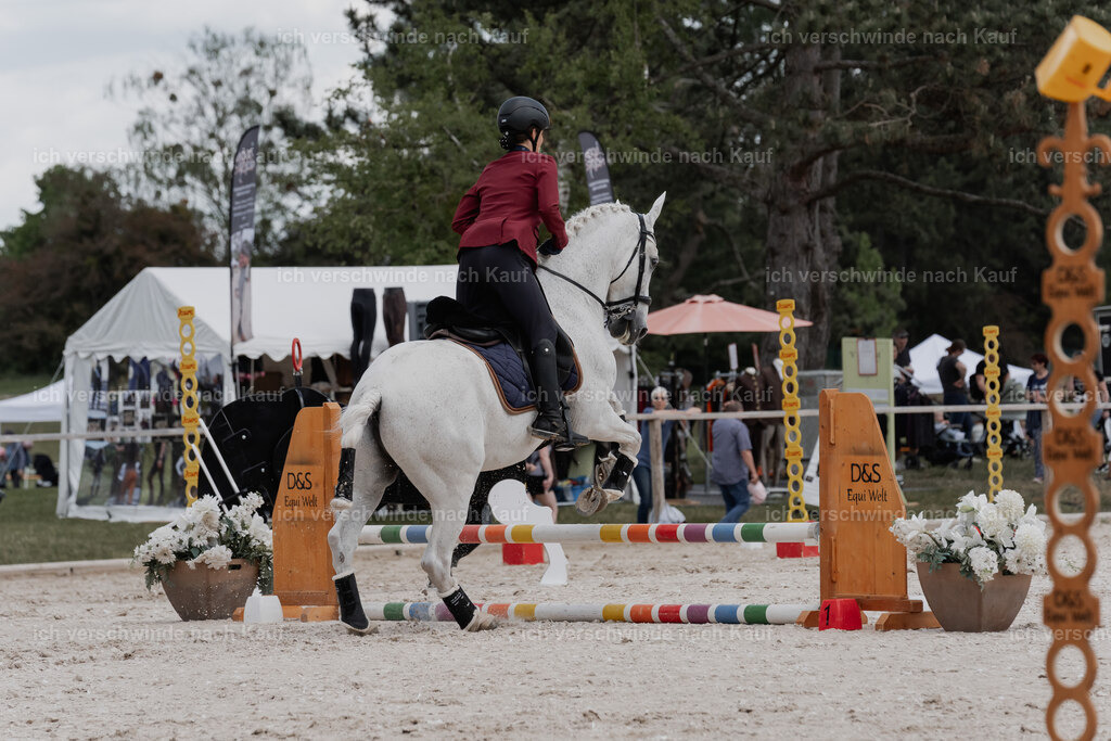 WE_ST_Stoib_332_PI2025_1177 | Pferd International München 2025