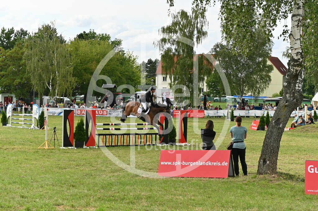 DSC_3794 | sattelsport - Realisiert mit Pictrs.com