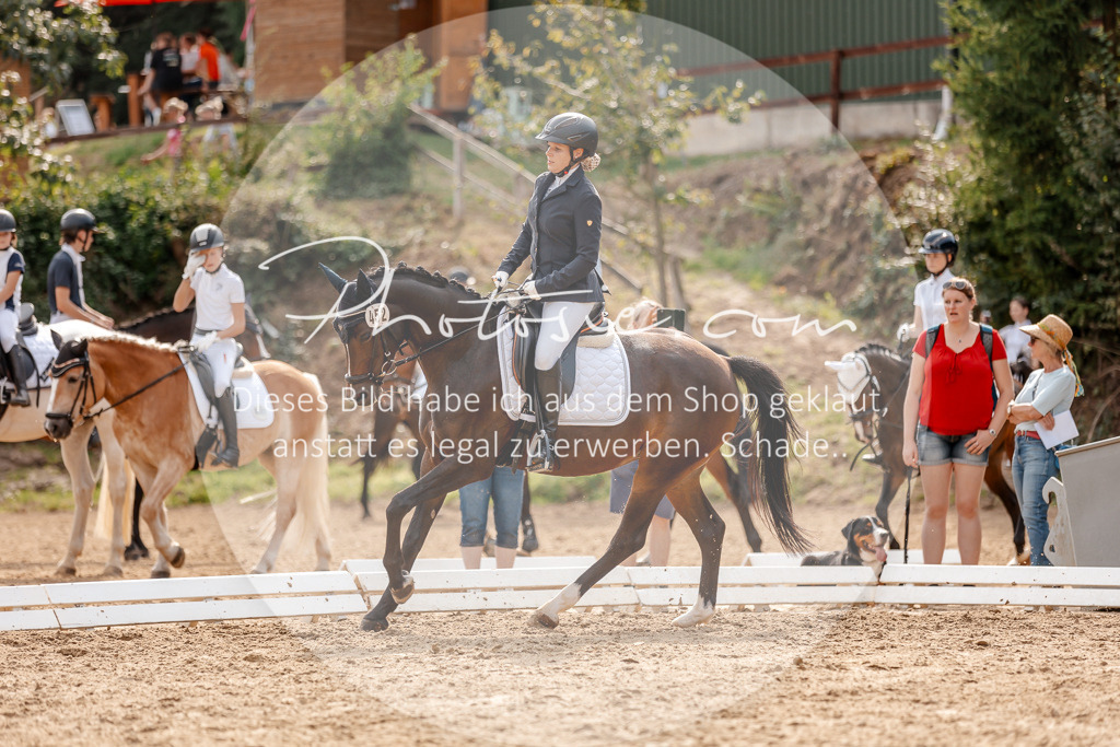 3I6A4409 | Stimmungsvolle Portraits und Reitsportfotografie im Ruhrgebiet und im Münsterland.

Pferdefotografie, Hundefotografie, Tierfotografie, Reportagen, Portraits von Tier und Mensch, Turnierfotografie in Bochum, Recklinghausen, Marl, Haltern am See, Dülmen.. - Realisiert mit Pictrs.com