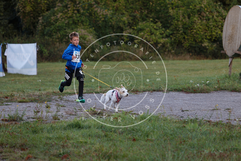 0L8A4170 | Hundefotografie, Tierfotograf, Pfotenfotografie, Fotoshooting Hund, Hunde Portrait, Hundesport, Hundeportraits, Heideshooting, Hunde, Sportfotograf, Hundefotograf, Turnierhundsport, THS,  - Realisiert mit Pictrs.com