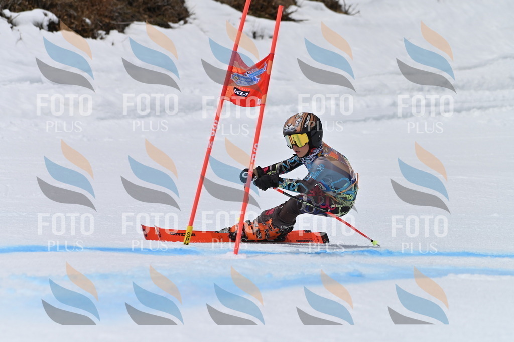 BGV_4556 | holidayphoto