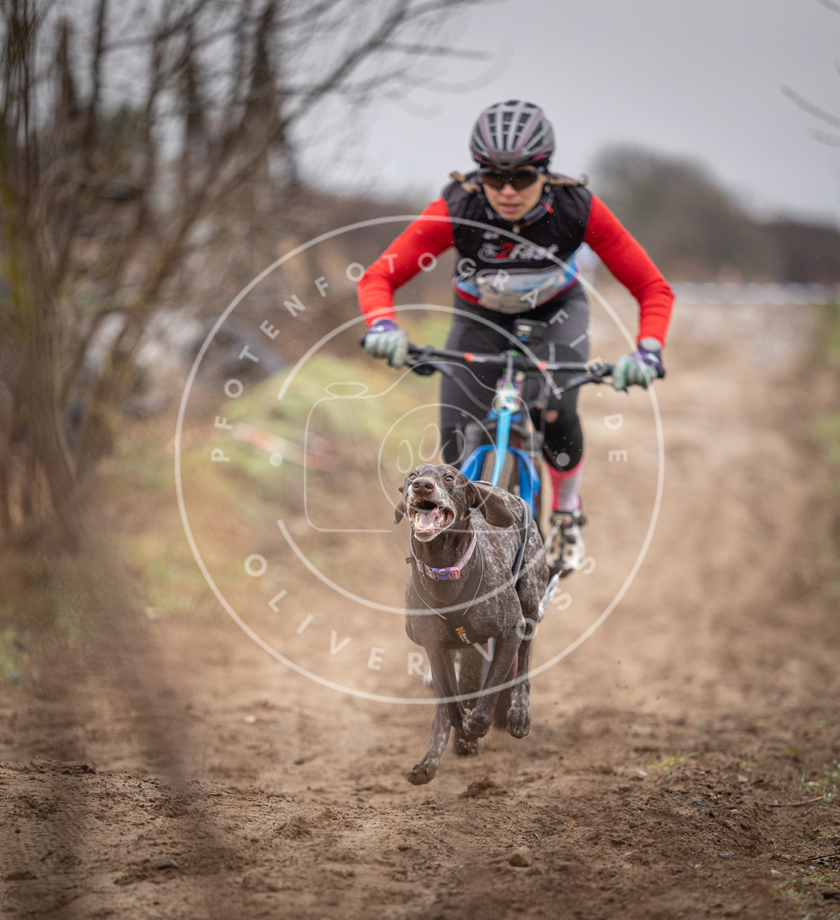 DV3A8850 | Hundefotografie, Tierfotograf, Pfotenfotografie, Fotoshooting Hund, Hunde Portrait, Hundesport, Hundeportraits, Heideshooting, Hunde, Sportfotograf, Hundefotograf, Turnierhundsport, THS,  - Realisiert mit Pictrs.com