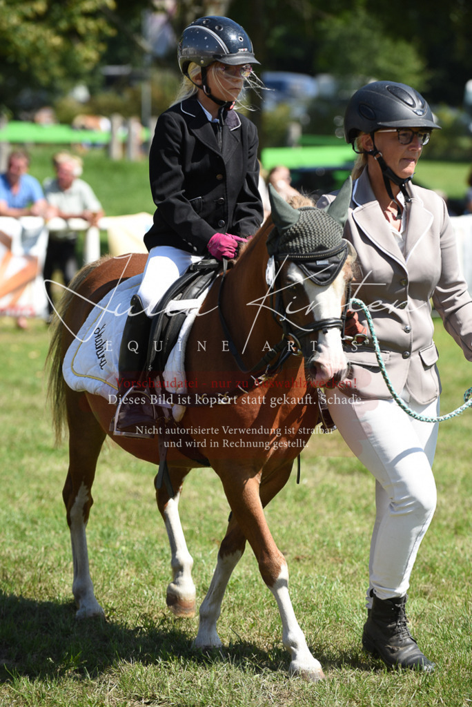 DSC_9686 | Pferde- und Turnierfotografie in Westsachsen. Pferdeportraits, Auftragszeichnungen und intuitive Kunst.