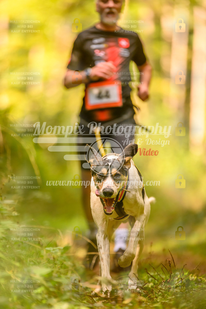 MompixPhotography_Yens2025_B2-165 | PayLife
