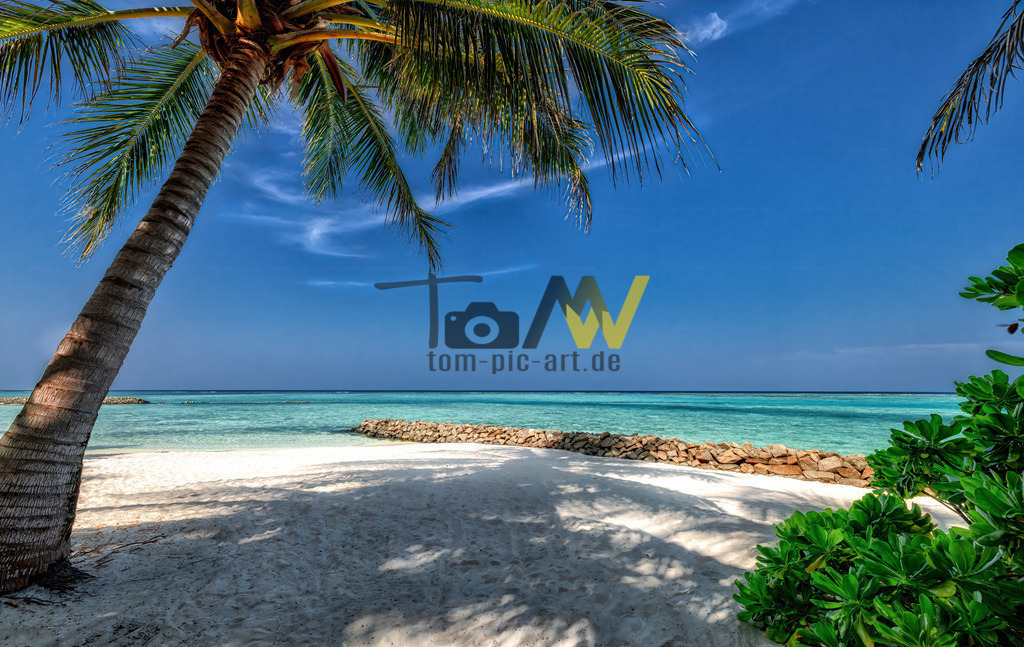Palmen am Stand, Sonne und türkisblaues Meer-Malediven  | Ein traumhafter Sandstrand auf den Malediven. Weiter Blick in das offene türkisblaue Meer. Azurblauer Himmel. - Realisiert mit Pictrs.com