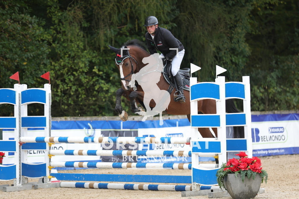 0P6A1350 | Willkommen bei Brunnmayr - Design & Fotografie – Ihrem Spezialisten für Reitturniere und Pferdeveranstaltungen in Oberösterreich, Salzburg und Bayern! Seit über 17 Jahren sind wir leidenschaftlich dabei.