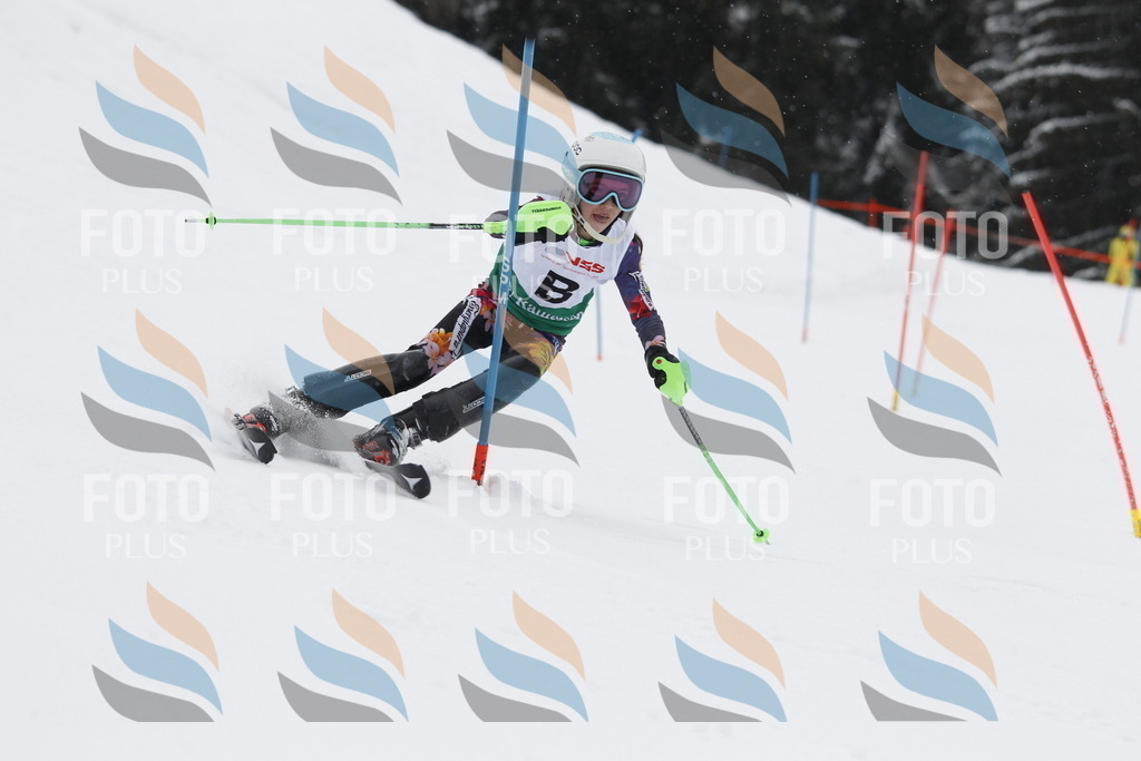 A1431 | holidayphoto