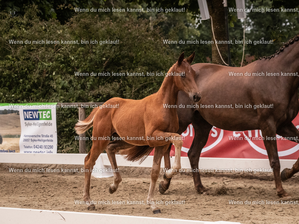 A10I6845 | photographylinaismer - Realisiert mit Pictrs.com