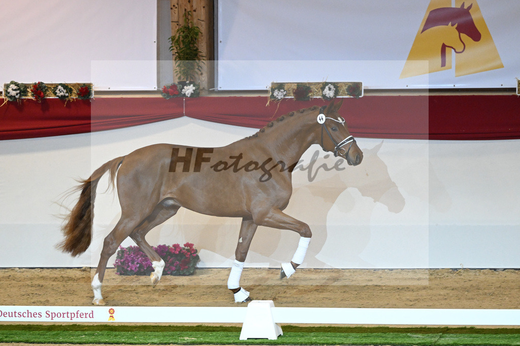 Kat-Nr. 44 Donier_Hertweck_1230039 | hf-fotografie - Realisiert mit Pictrs.com