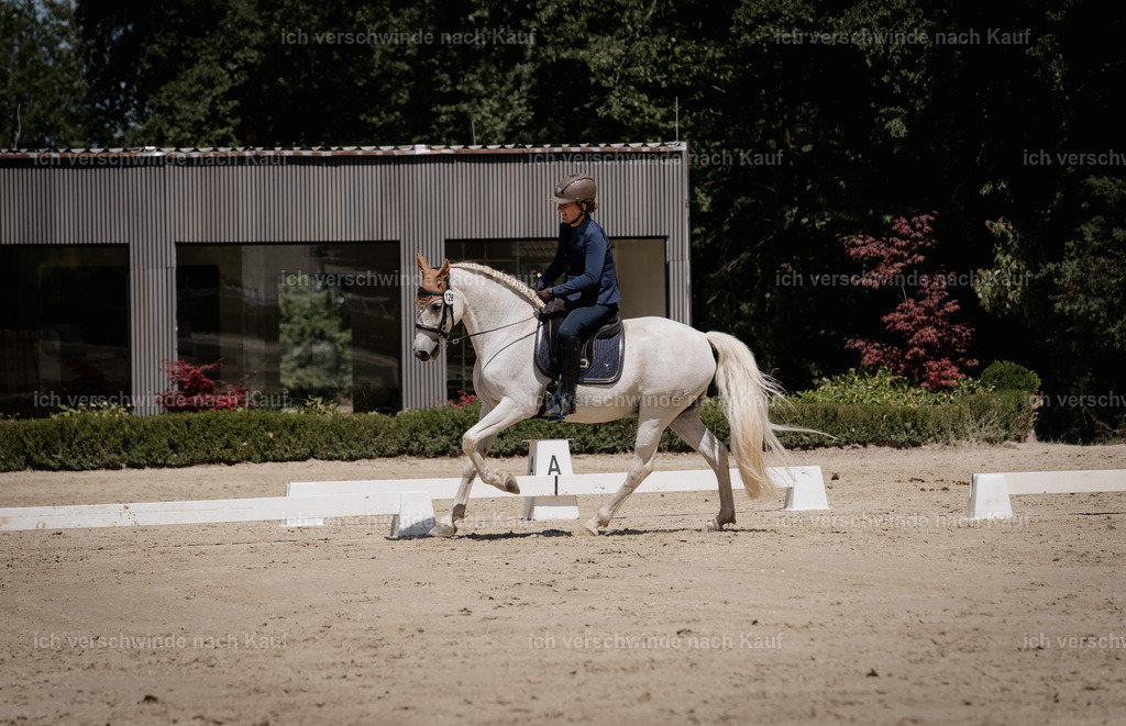 WE_DR_128_SinaFilmArt_IN03672 | working equitationturnier fotograf videograf stoibphotography marixx film working equitation deutschland reitsport turnierfotografie eventfotografie equestrian events