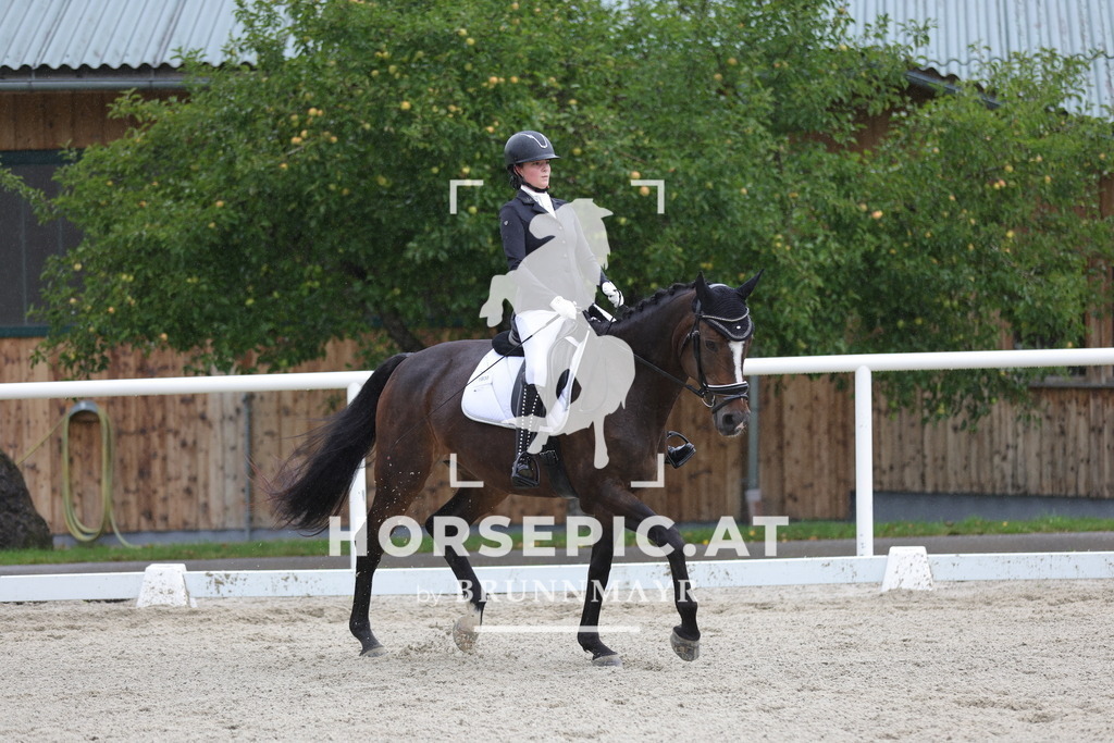 0P6A0075 | Willkommen bei Brunnmayr - Design & Fotografie – Ihrem Spezialisten für Reitturniere und Pferdeveranstaltungen in Oberösterreich, Salzburg und Bayern! Seit über 17 Jahren sind wir leidenschaftlich dabei.