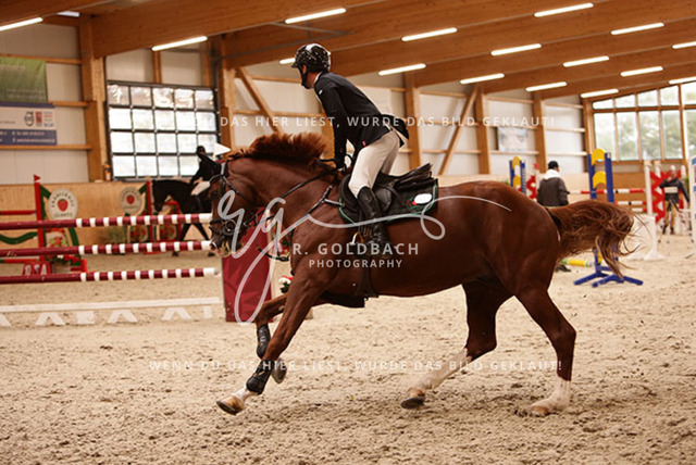 1J2A8911Christoph Lanske_ Noan SMH_ Kn401_ Glantz_ Hohen Wieschendorf | Foto- und Videografie für alles rund ums Pferd. Hochwertige Bilder und Videos vom Spring- und Dressurreiten, Voltigieren & mehr. Jetzt aktuelle Veranstaltungen und Preise im Shop ansehen. - Realisiert mit Pictrs.com