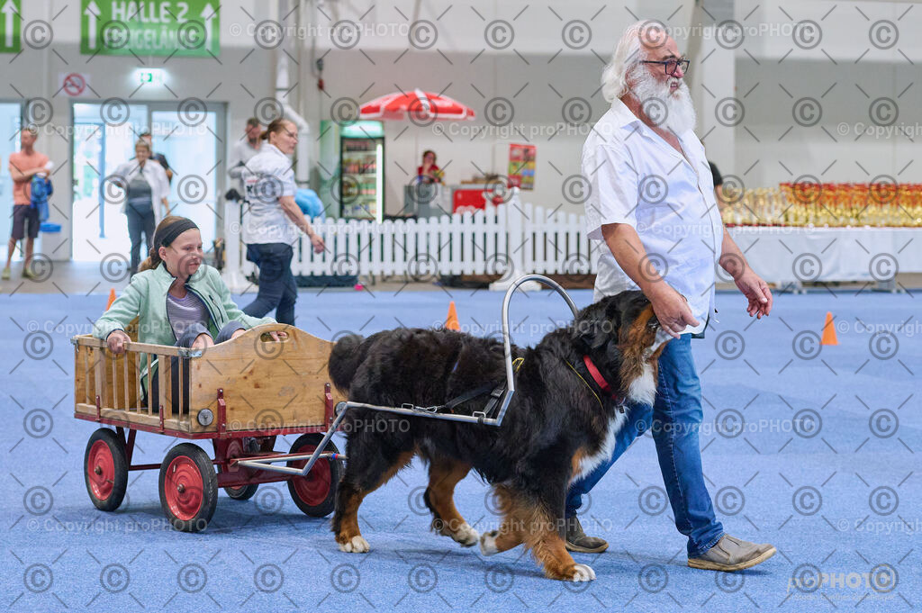 202406_ÖKV-IHA-Tulln24_DSC_4687 | proPHOTO - Realisiert mit Pictrs.com